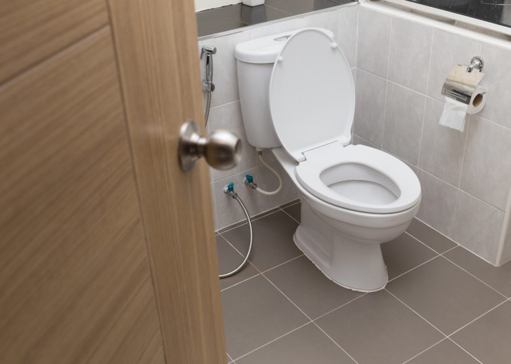 blocked toilet